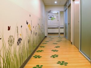 Darwin Paediatrics_Entrance Hallway