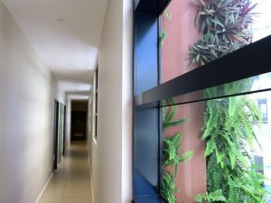 Q Bar_External Grow-walls