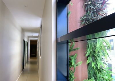 Q Bar_External Grow-walls